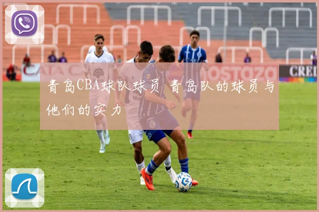 青岛CBA球队球员 青岛队的球员与他们的实力